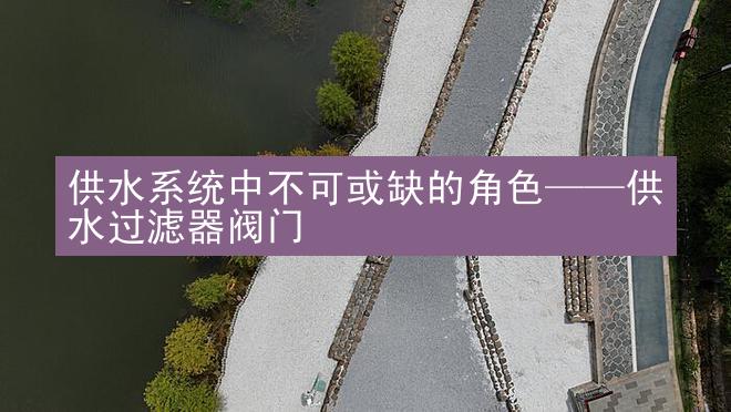 供水系统中不可或缺的角色——供水过滤器阀门